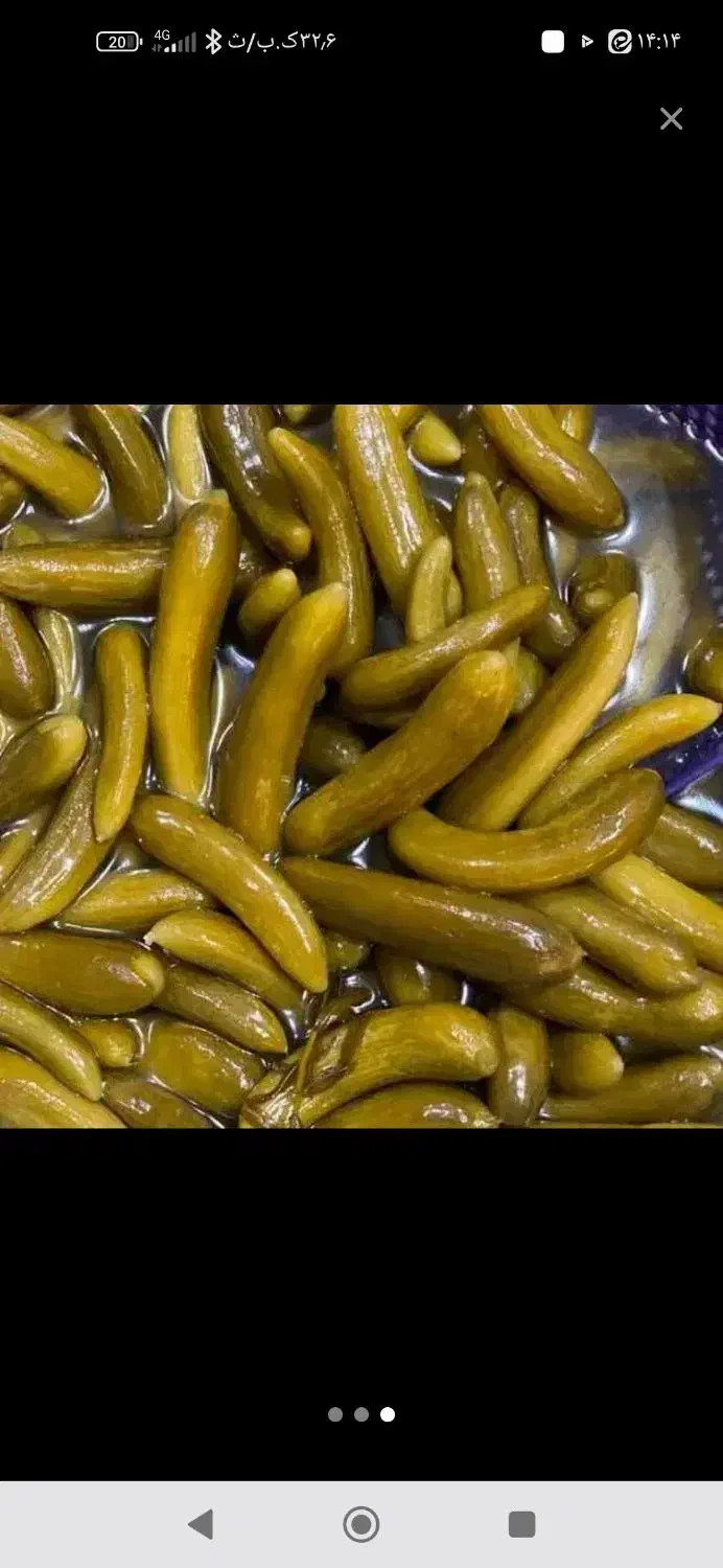 خیارشور|خوردنی و آشامیدنی|گل تپه, |دیوار