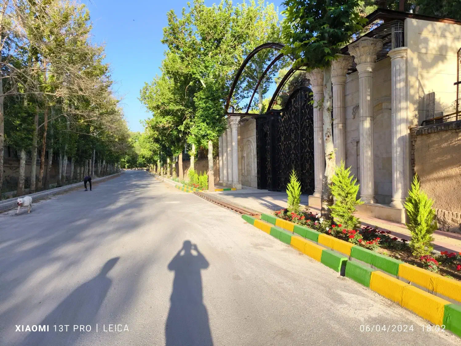 375 متر باغ 30 ساله / 100 قدمی بلوار محمدشهر/ جنگل|فروش خانه و ویلا|ماهدشت, |دیوار