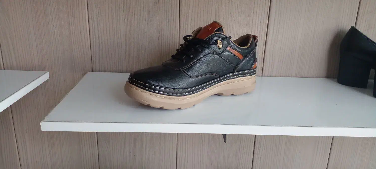 کفش دوردوخت|کیف، کفش، کمربند|داراب, |دیوار