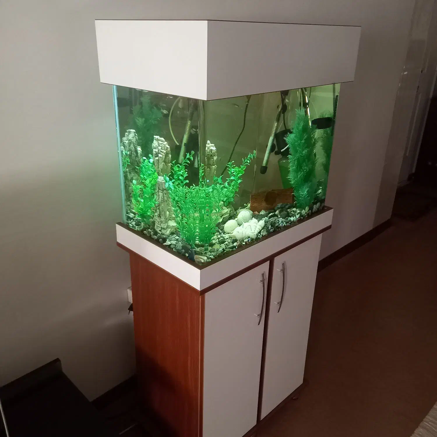 آکواریوم شیشه خم کمد دار|ماهی|قزوین, |دیوار