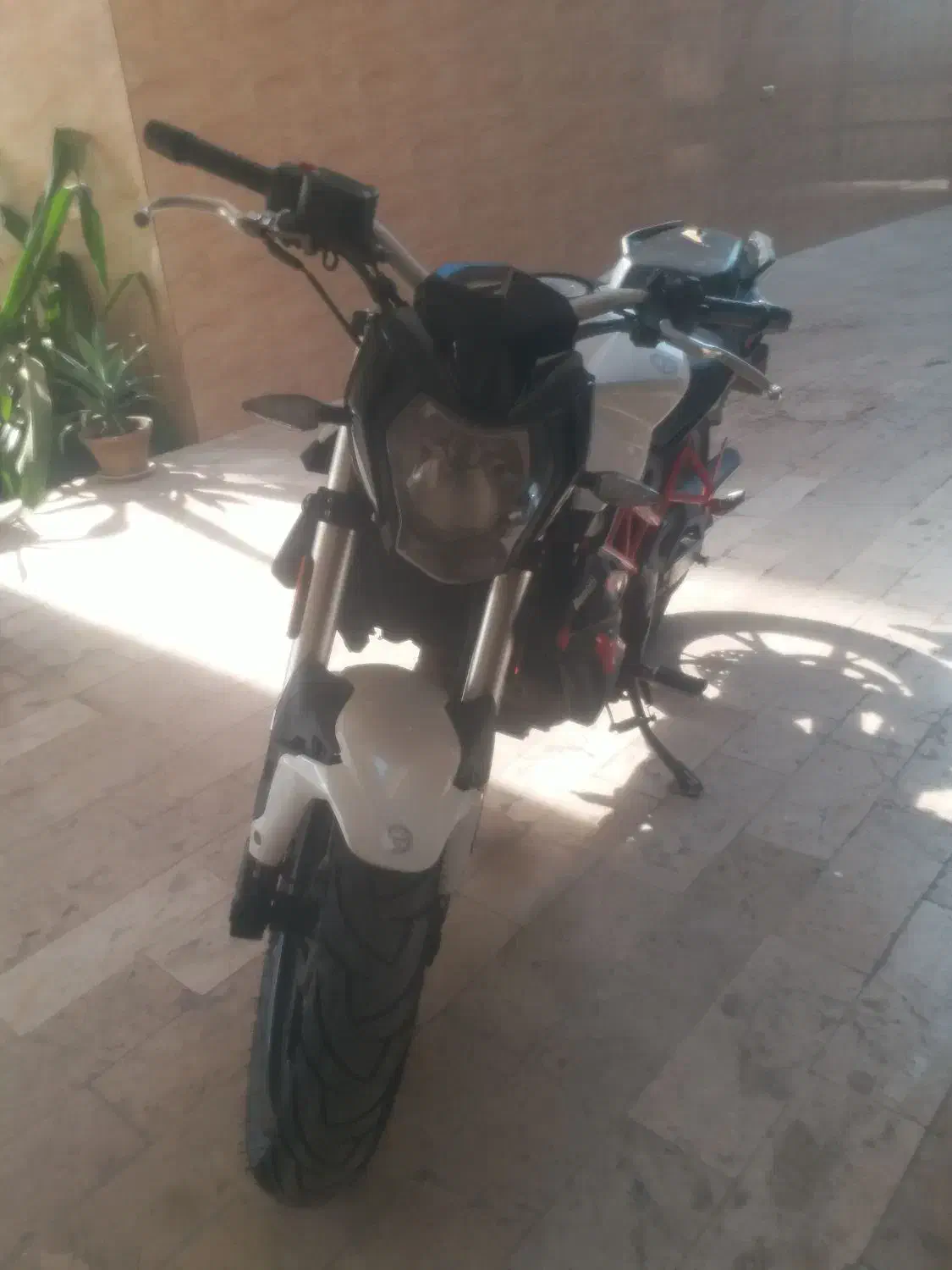 فروش موتور سیکلت بنلی NEW FACE|موتورسیکلت|بندرعباس, |دیوار