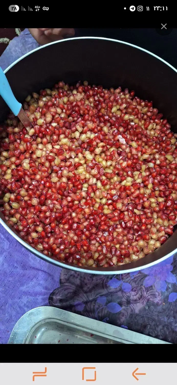 انار|خوردنی و آشامیدنی|قائن, |دیوار