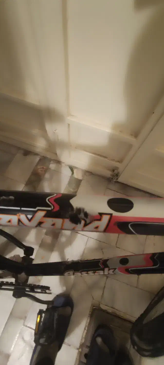 دوچرخه قدیمی مدل دماوند|دوچرخه، اسکیت، اسکوتر|کرمان, |دیوار