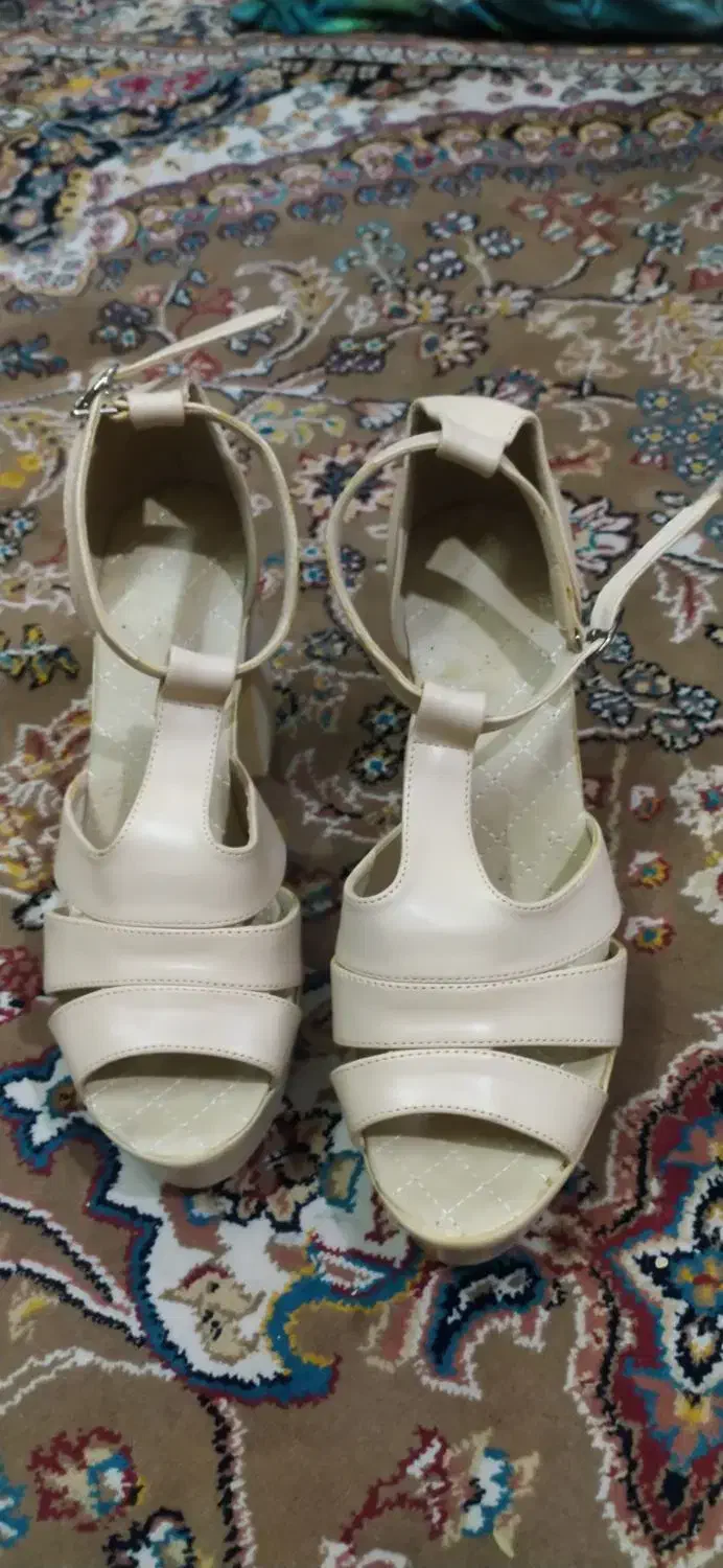 کفش مجلسی|کیف، کفش، کمربند|زنجان, |دیوار