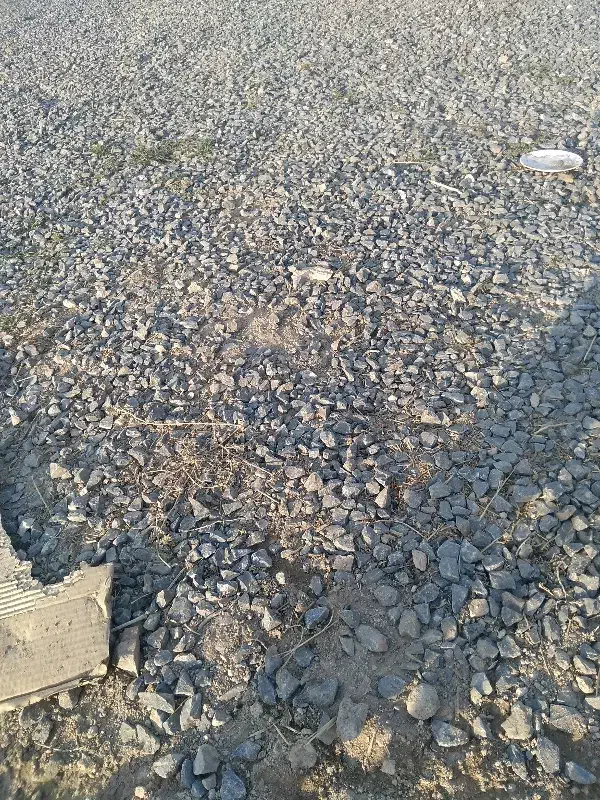 قالب آرماتوربندی|مصالح و تجهیزات ساختمان|مهاباد (آذربایجان غربی), |دیوار