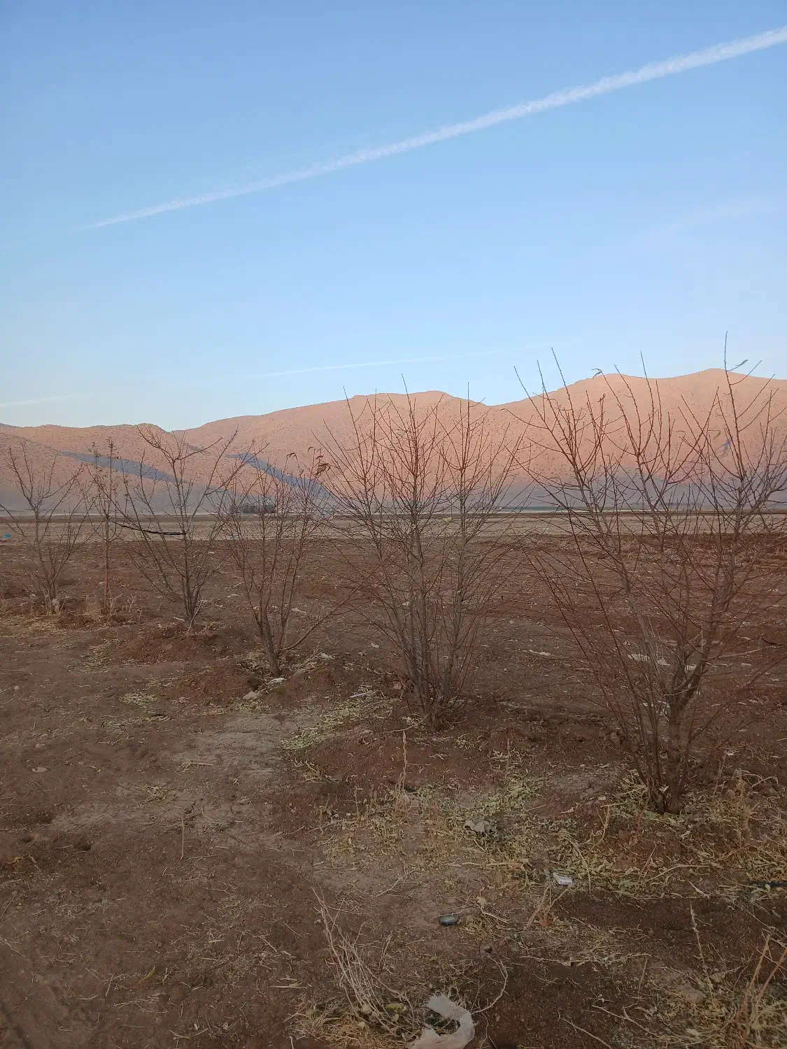 اجاره زمین کشاورزی|اجارهٔ دفتر صنعتی، کشاورزی، تجاری|حسن آباد, |دیوار