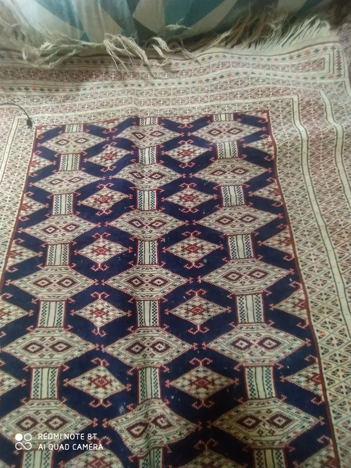 فرش ترکمن و گلیم|فرش|شیراز, ابیوردی|دیوار