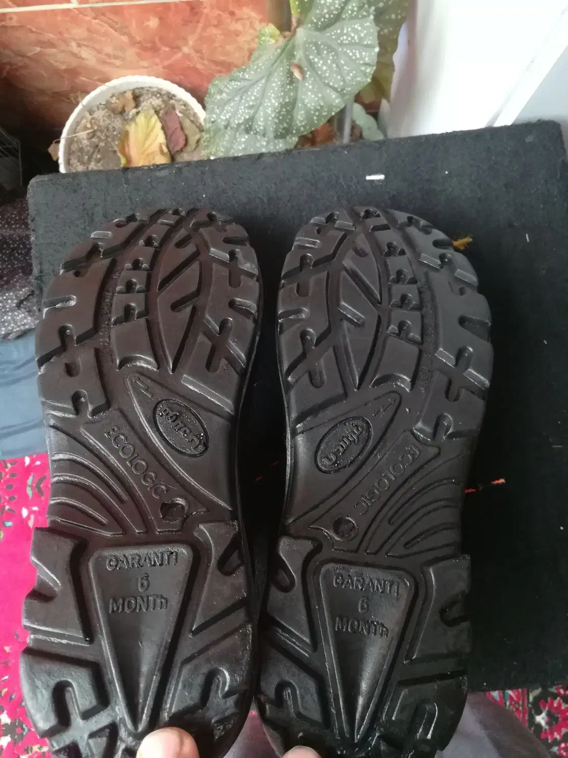 کفش کار|کیف، کفش، کمربند|گرگان, |دیوار