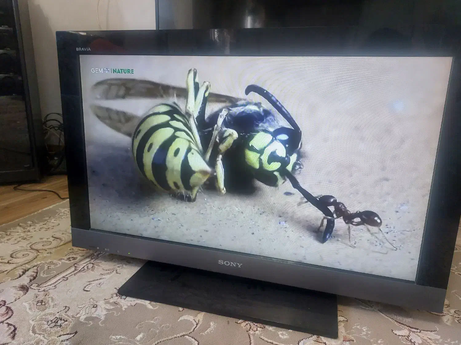 ال سی دی ۳۲ اینچ سونی فلشخور باکنترل سالم|تلویزیون و پروژکتور|سنگر, |دیوار