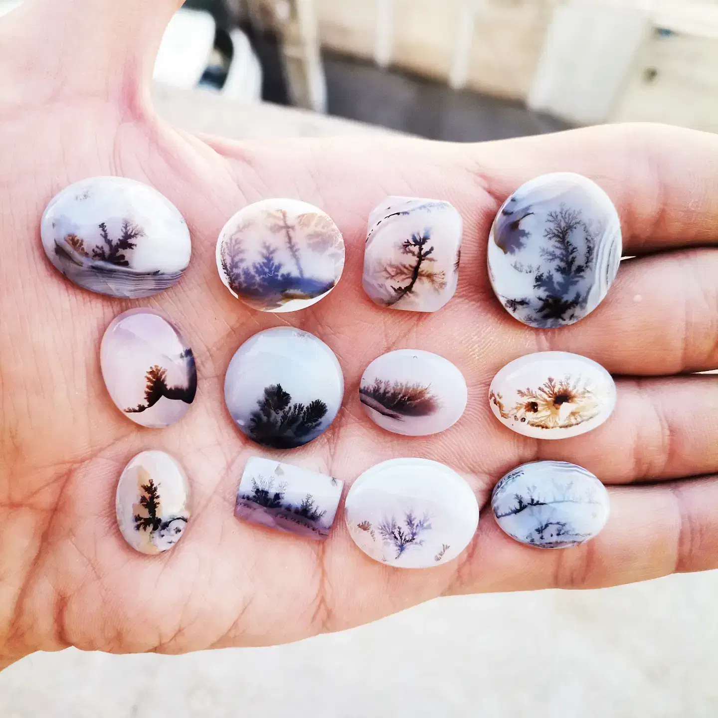 تعداد 60 عدد سنگ شجر|بدلیجات|تهران, هفت حوض|دیوار