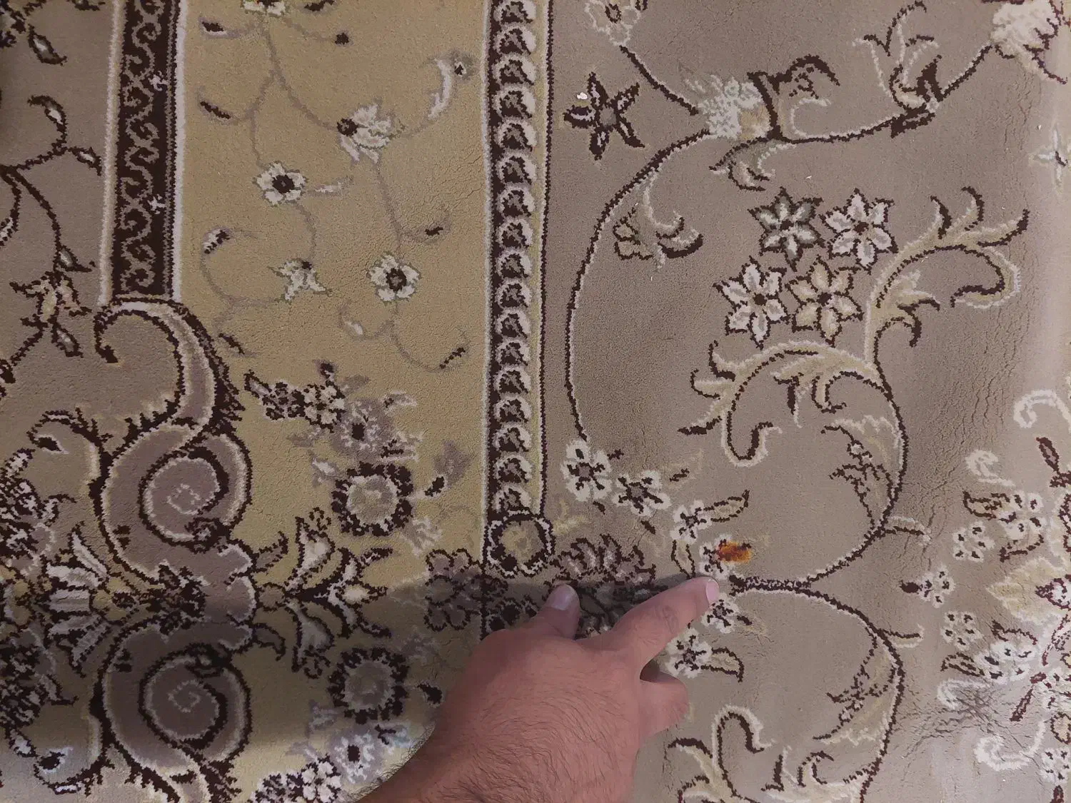 دو تخته فرش شش متری|فرش|تهران, فردوس|دیوار