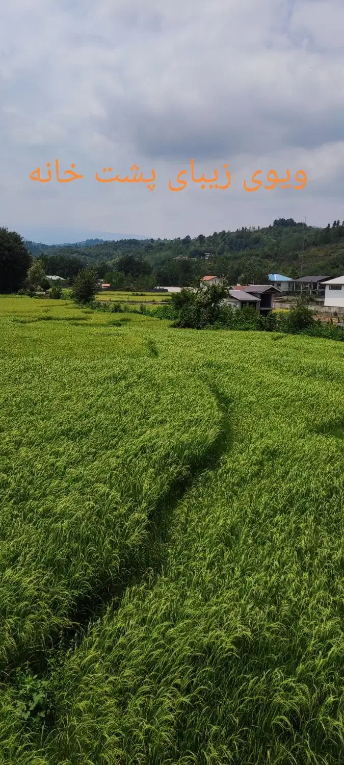 فروش خانه ورودی جدا ویو ابدی شالیزار|فروش خانه و ویلا|اطاقور, |دیوار