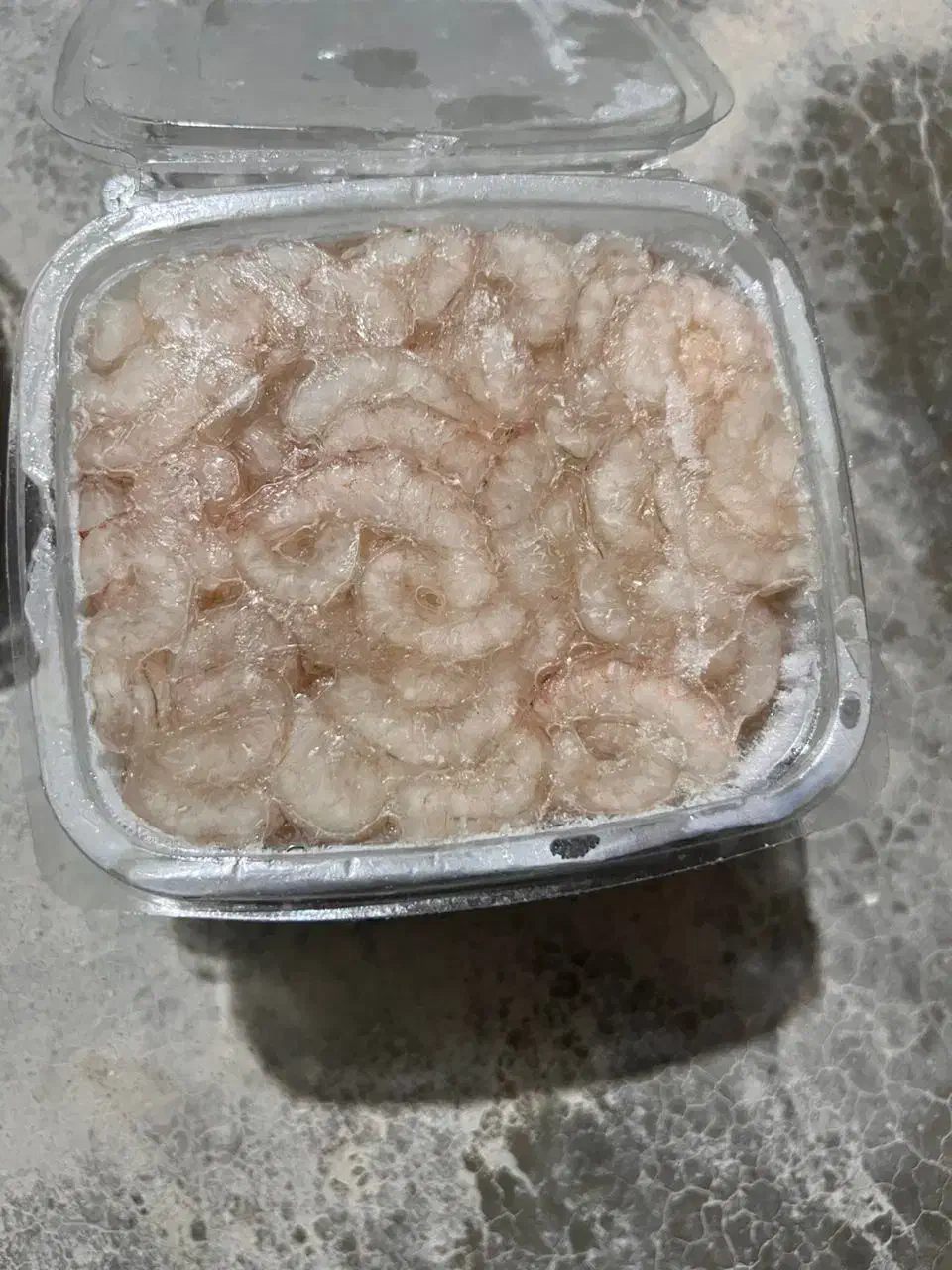 میگو|ماهی|قشم, |دیوار