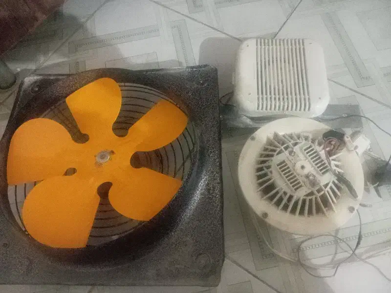 فن وهود|هود|کرمان, |دیوار