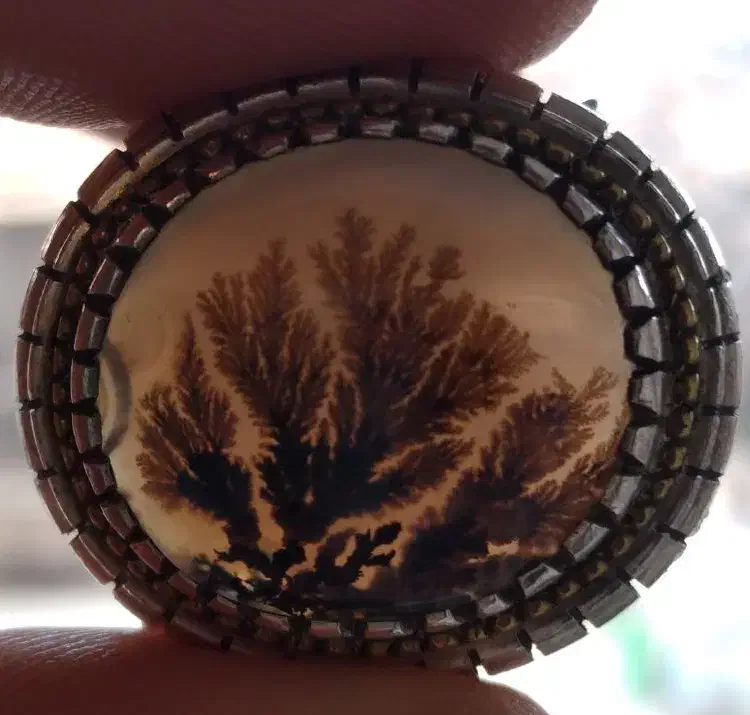 شجر|جواهرات|بناب, |دیوار