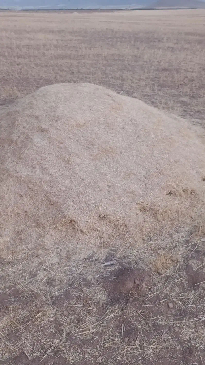 انبار|اجارهٔ مغازه و غرفه|سریش آباد, |دیوار