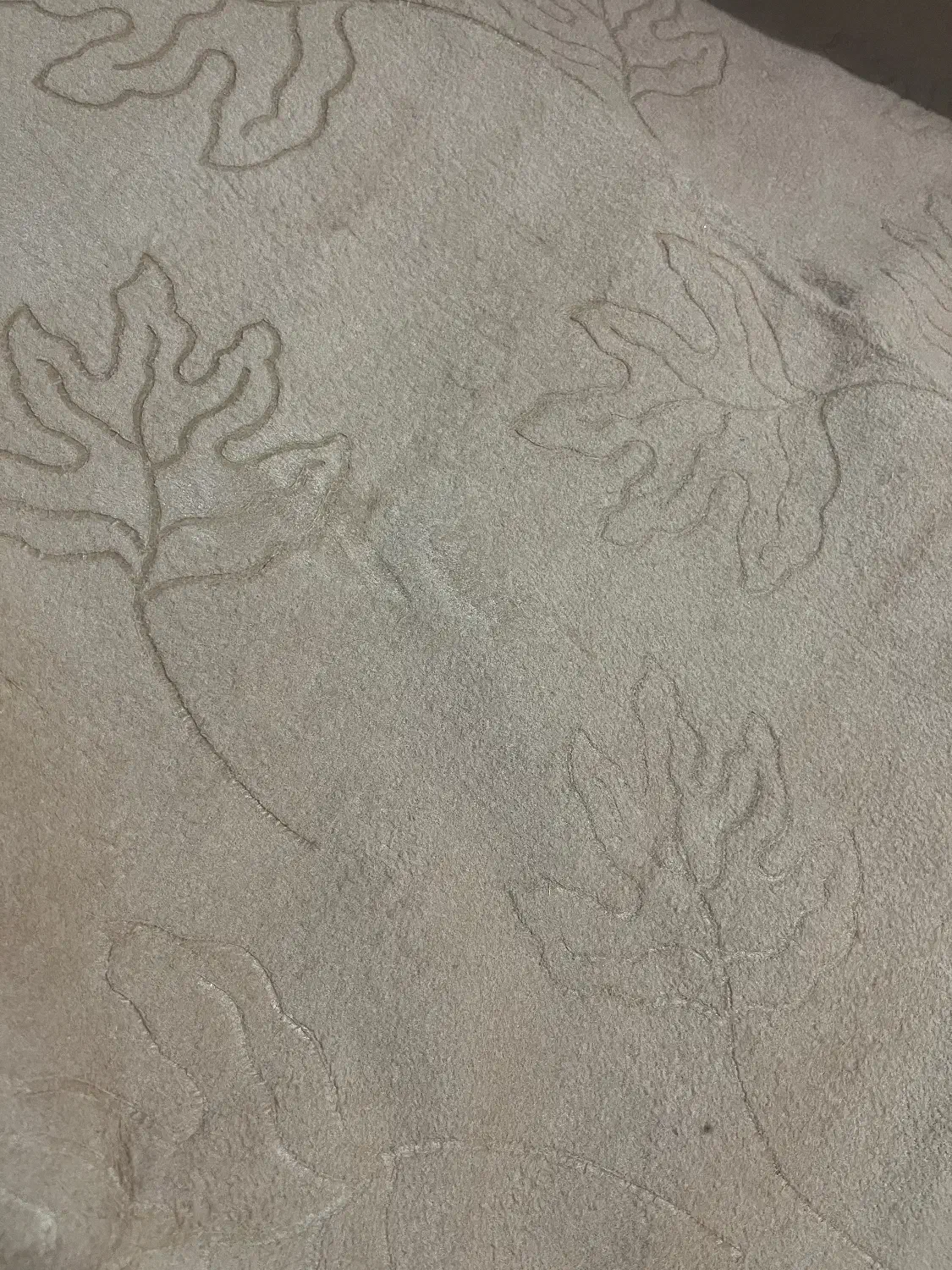 موکت کرم رنگ|موکت|سنندج, |دیوار