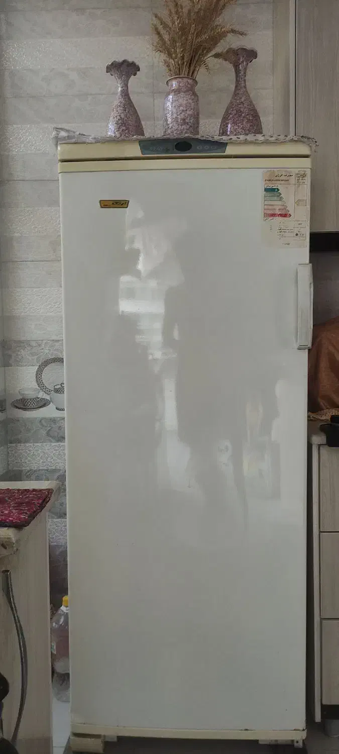 یخچال فریزر ارج|یخچال و فریزر|کازرون, |دیوار