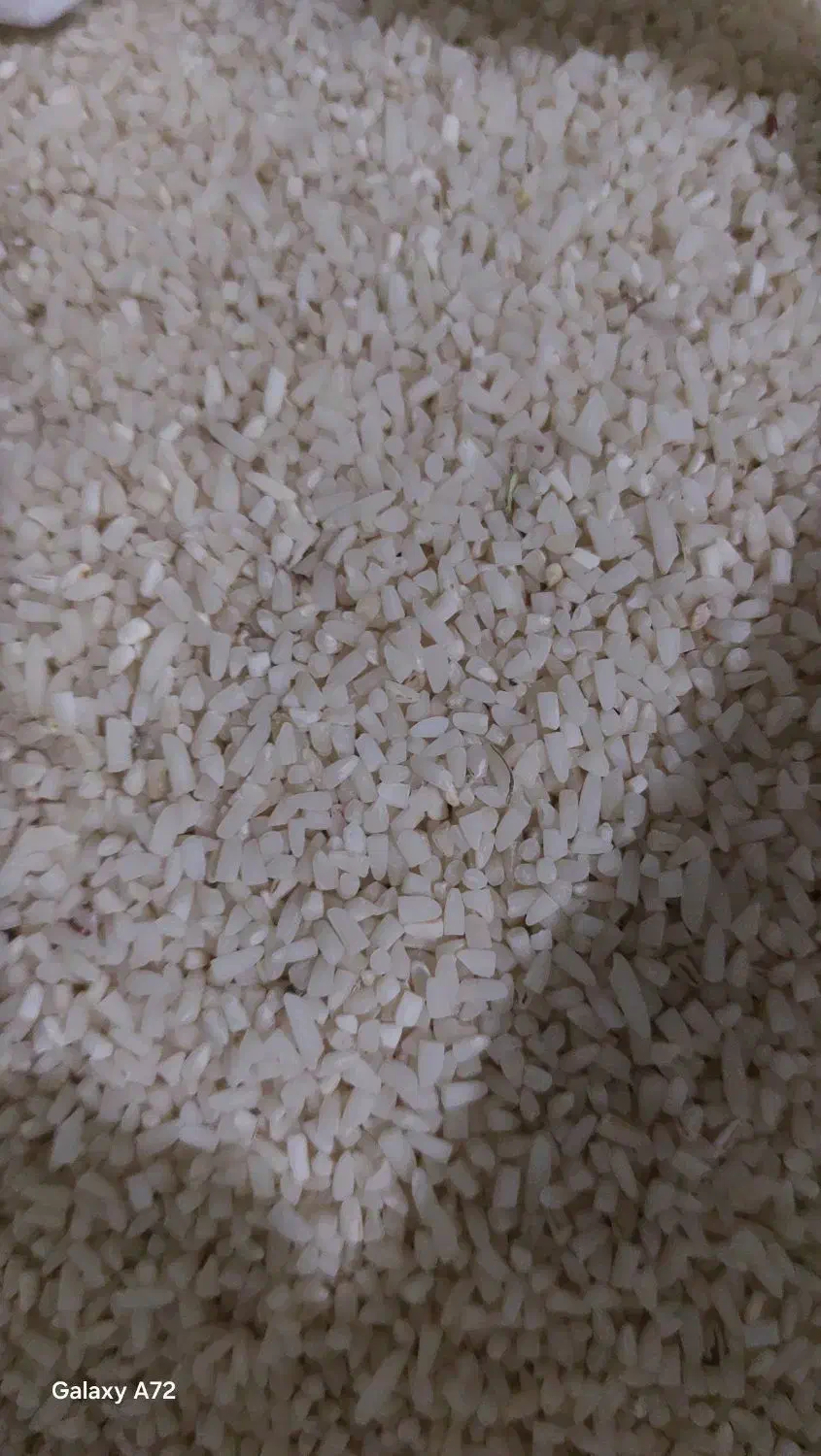 نیمه دانه هاشمی معطر|خوردنی و آشامیدنی|تهران, علم و صنعت|دیوار