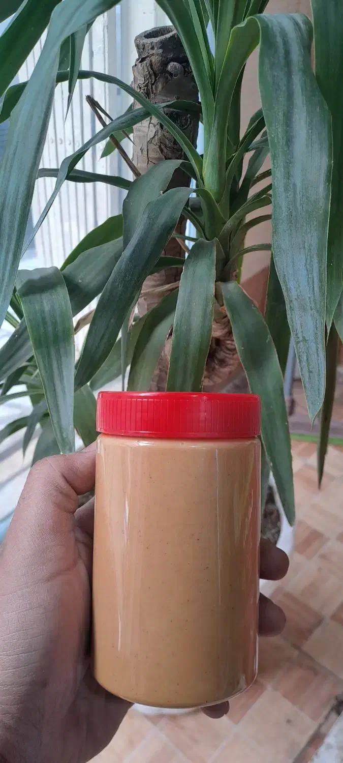 کره بادام زمینی ایرانی|خوردنی و آشامیدنی|قم, وادی السلام|دیوار