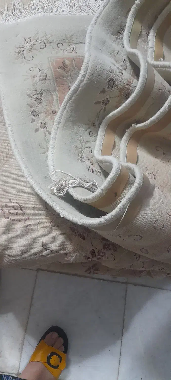 قالیه ماشینی ۳در۴|فرش|بندر ترکمن, |دیوار