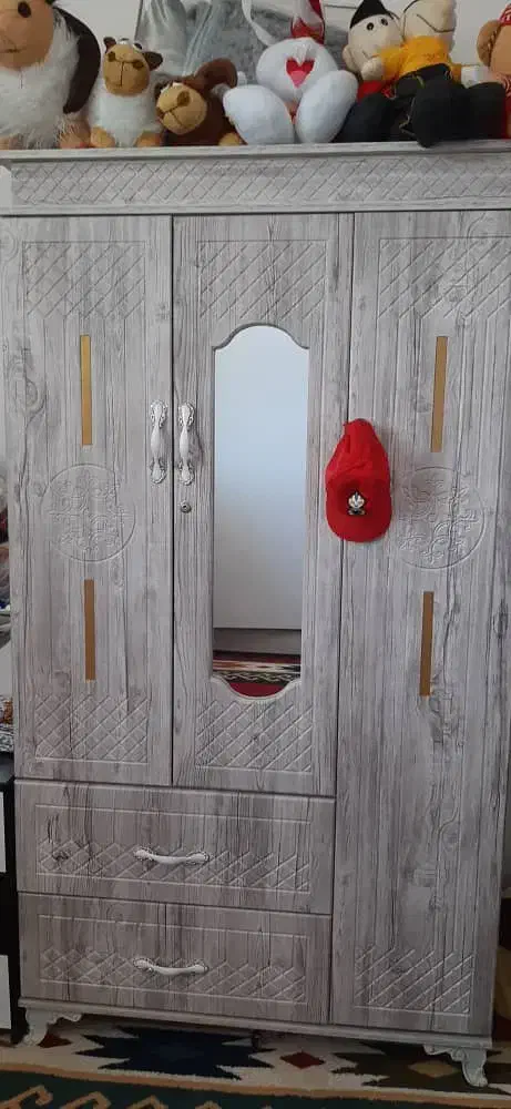 کمد دیواری وجاکفشی گچساران باشت|خدمات پیشه و مهارت|دوگنبدان, |دیوار