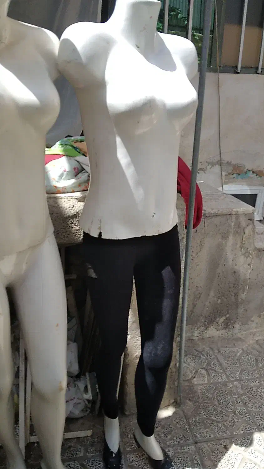 مانکن  و حلقه|فروشگاه و مغازه|نیشابور, مازول|دیوار