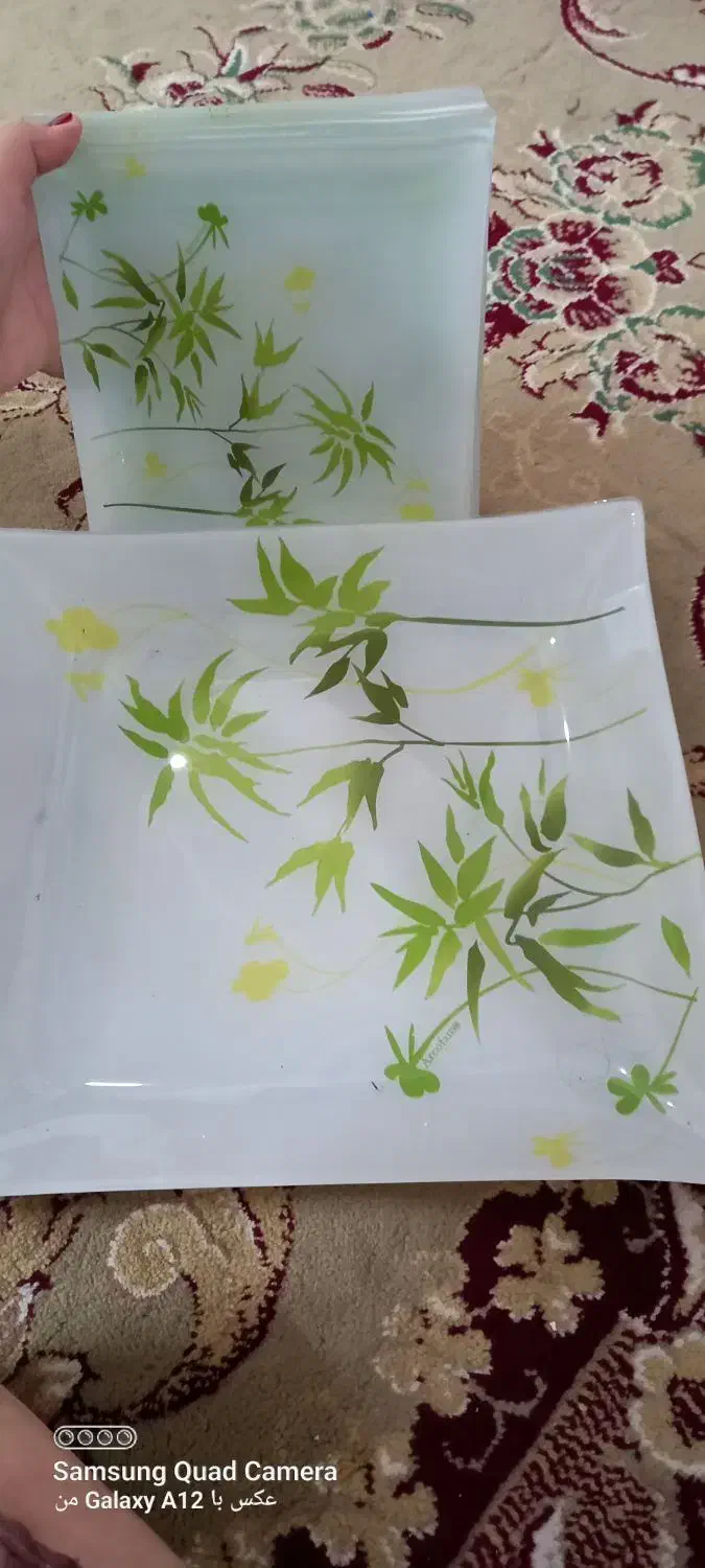 ظرف میوه خوری|ظروف سرو و پذیرایی|گرگان, |دیوار