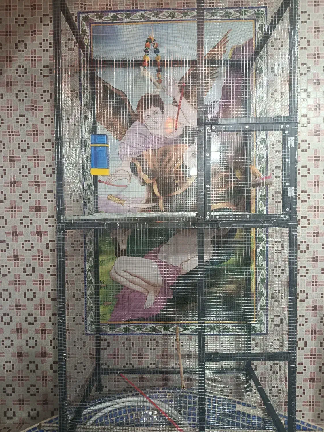 قفس پرنده بزرگ|لوازم جانبی حیوانات|شیراز, سجادیه|دیوار