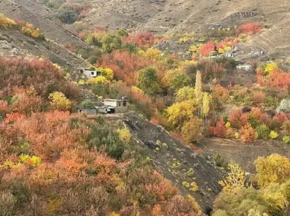باغچه وردیج ازگیلک ۴۵۰ متر|فروش زمین و ملک کلنگی|کن, |دیوار