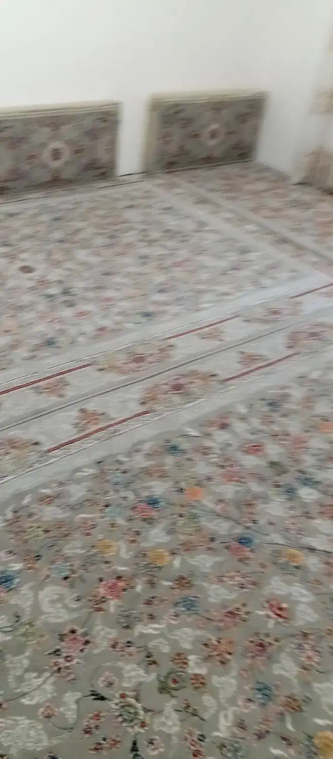 فرش 700شانه تراکن 255|فرش|مهاباد (آذربایجان غربی), |دیوار