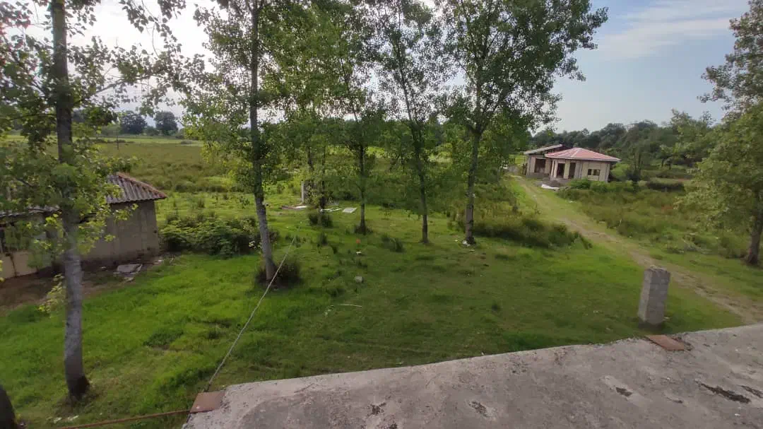 فروش زمین ۴هکتاری تو دل جنگل|فروش زمین و ملک کلنگی|شفت, |دیوار