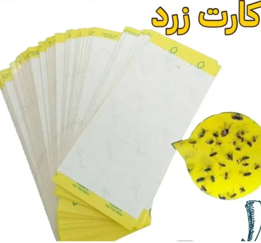 کارت زرد حشرات|ابزارآلات|تهران, امام زاده عبدالله|دیوار