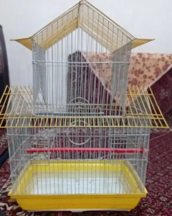 قفس|لوازم جانبی حیوانات|همدان, |دیوار