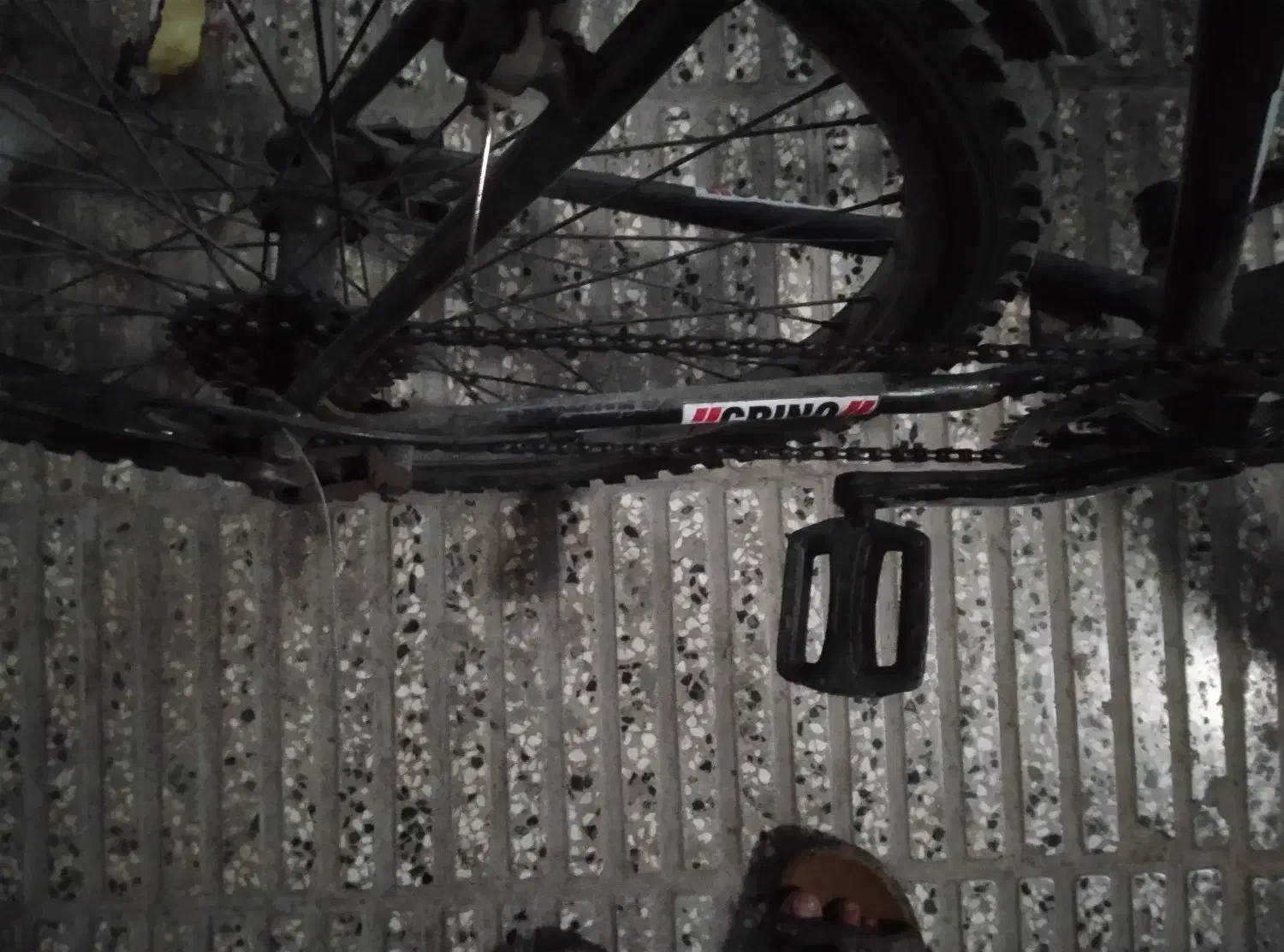 دوچرخه 26|دوچرخه، اسکیت، اسکوتر|علی‌آباد کتول, |دیوار