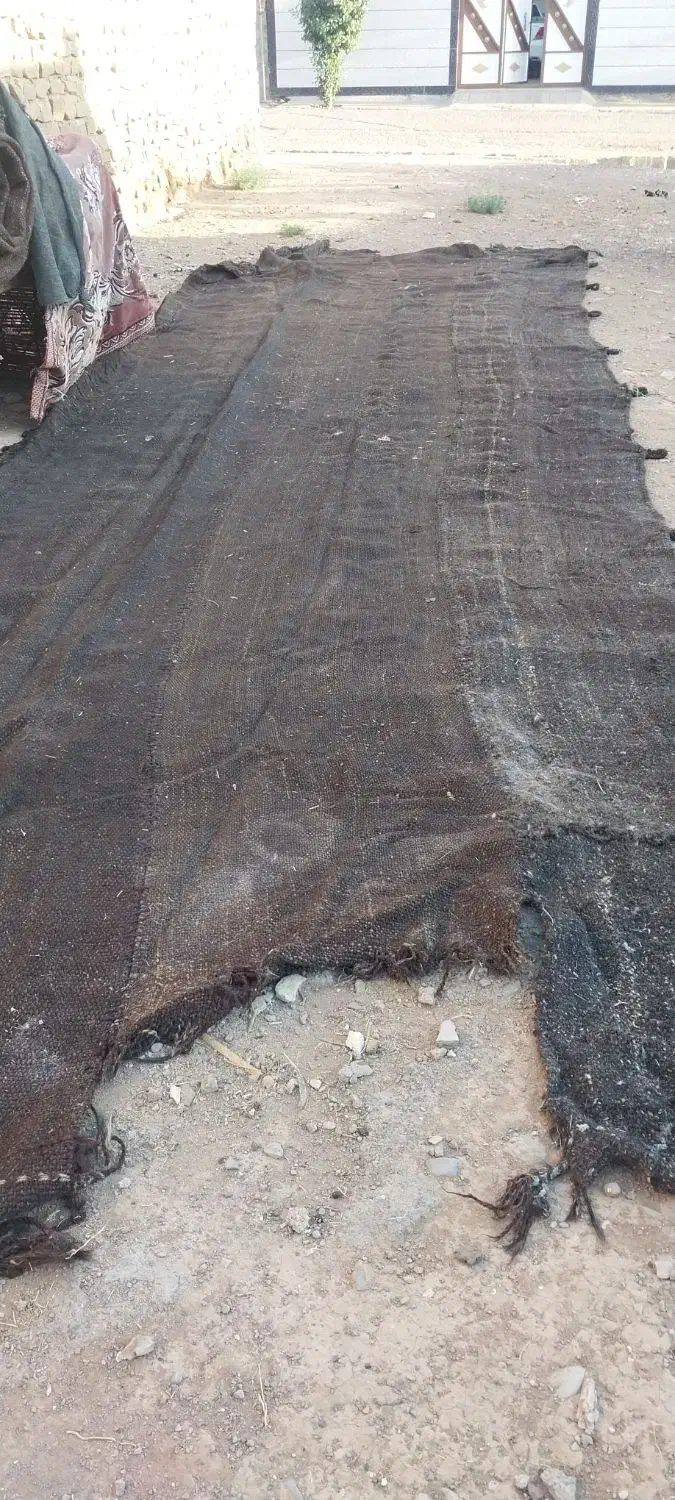 سیاه چادر عشایری|کوهنوردی و کمپینگ|ایلام, |دیوار