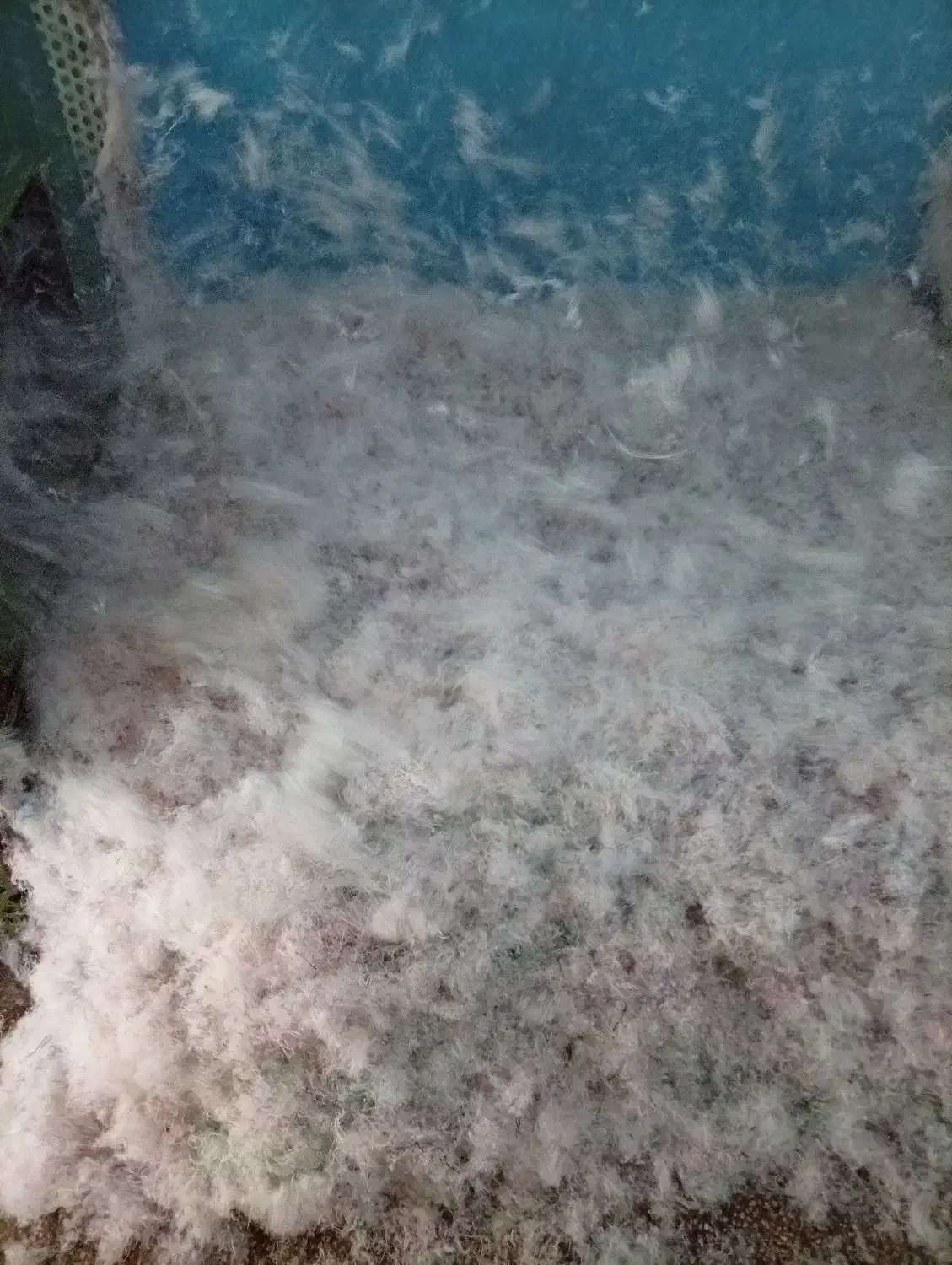 پرز عروسک|اسباب‌بازی بچه|مشهد, مقدم|دیوار