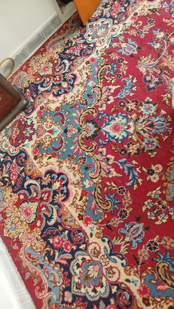 فرش دستبافت ۱۲|فرش|سمنان, |دیوار