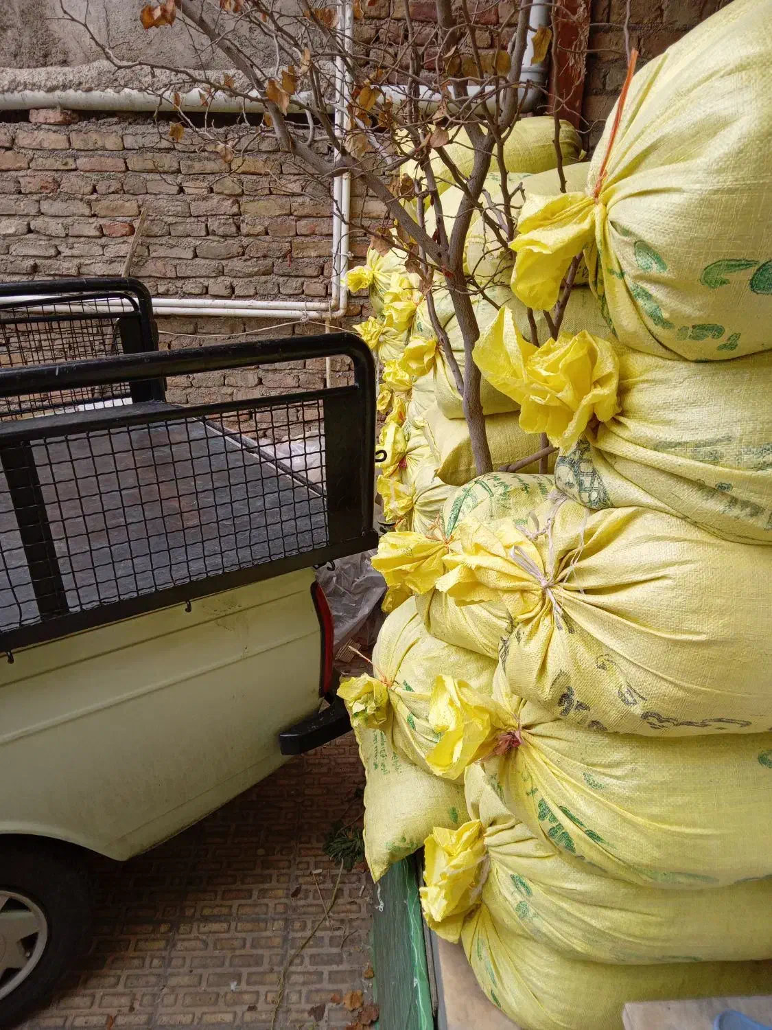 کود گوسفندی ب تمام شهرها|خدمات باغبانی و درختکاری|محمدشهر, محمدشهر|دیوار