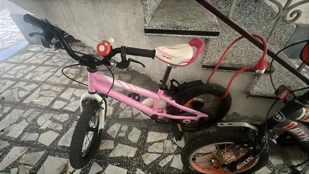 دوچرخه بچه گانه برند قناری|دوچرخه، اسکیت، اسکوتر|تهران, مدائن|دیوار