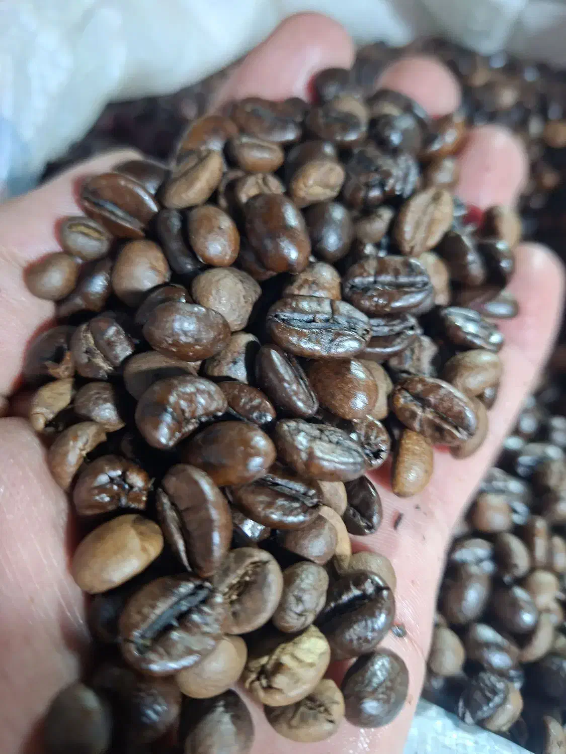 دون قهوه ۷۰*۳۰میکس فول کافئین|عمدهفروشی|قم, مهدیه|دیوار