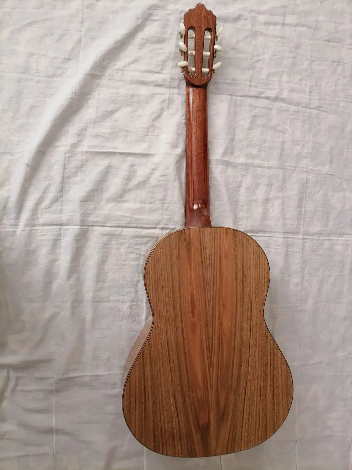 گیتار کلاسیک نو|گیتار، بیس، امپلیفایر|شهرضا, |دیوار