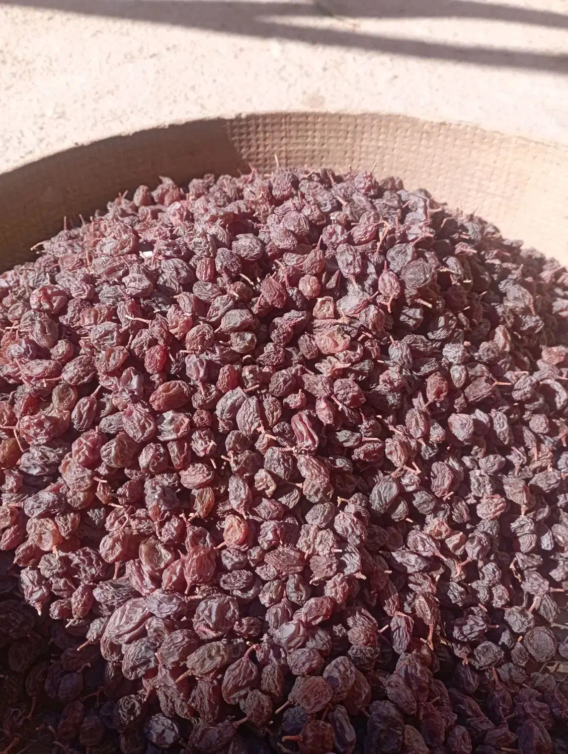 کشمش افتابی بیدانه درشت و گوشتی|خوردنی و آشامیدنی|اقبالیه, |دیوار