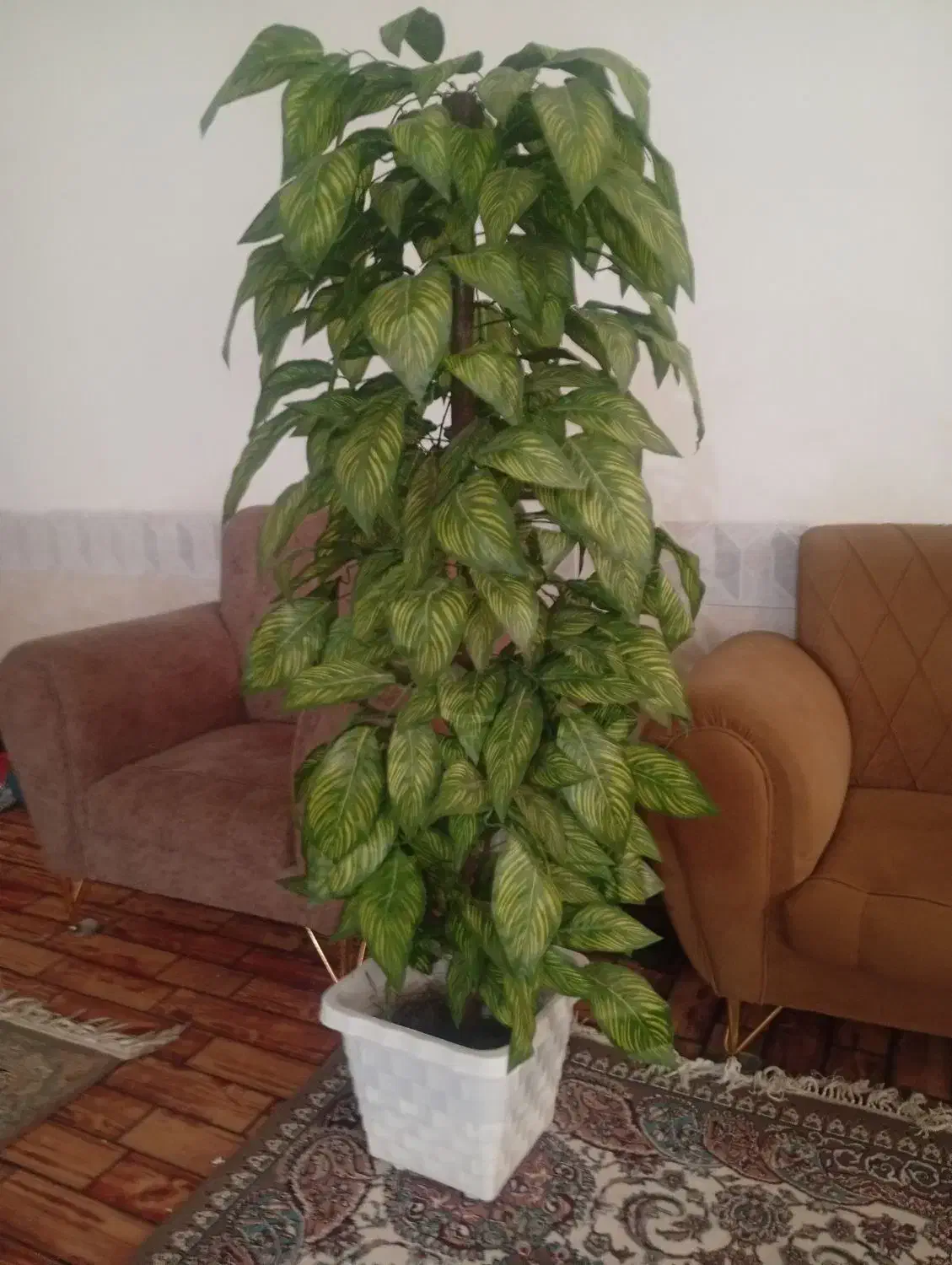 درختچه|گل مصنوعی|زابل, |دیوار