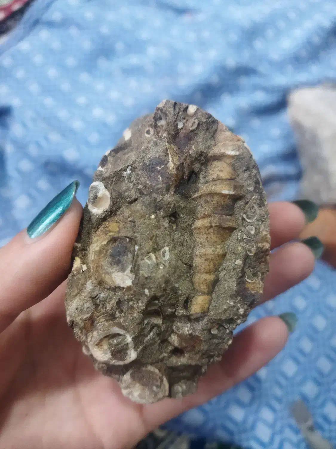 سنگ|کلکسیون اشیاء عتیقه|خلخال, |دیوار