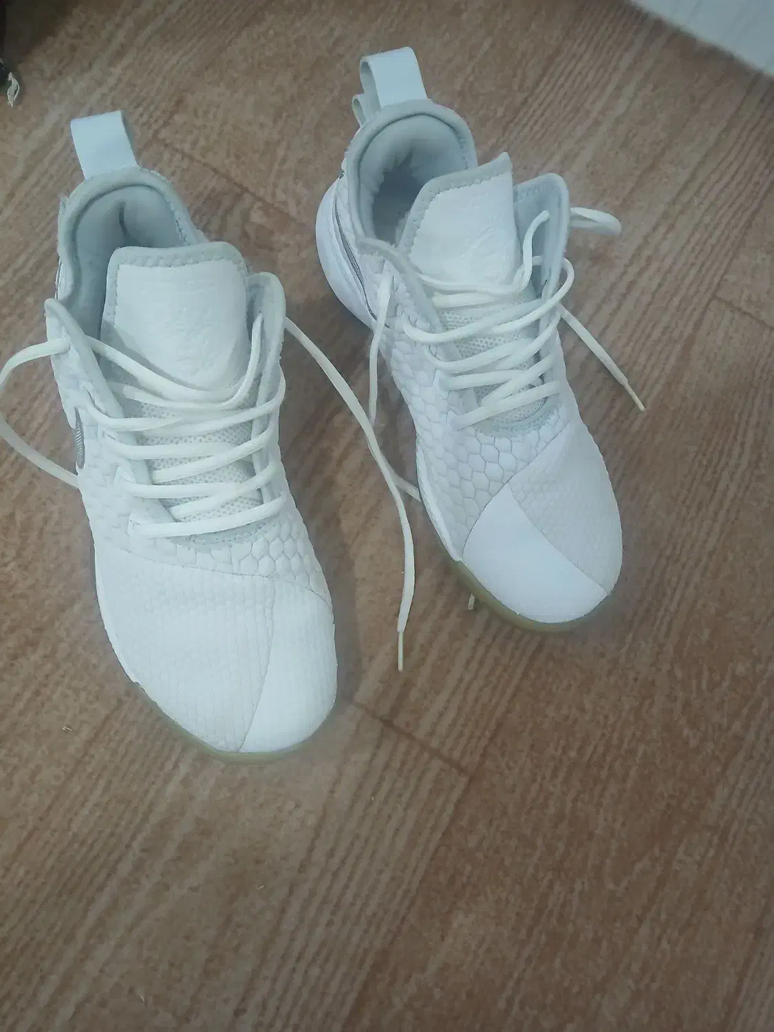 کفش.اورجینال|کیف، کفش، کمربند|سیجوال, |دیوار