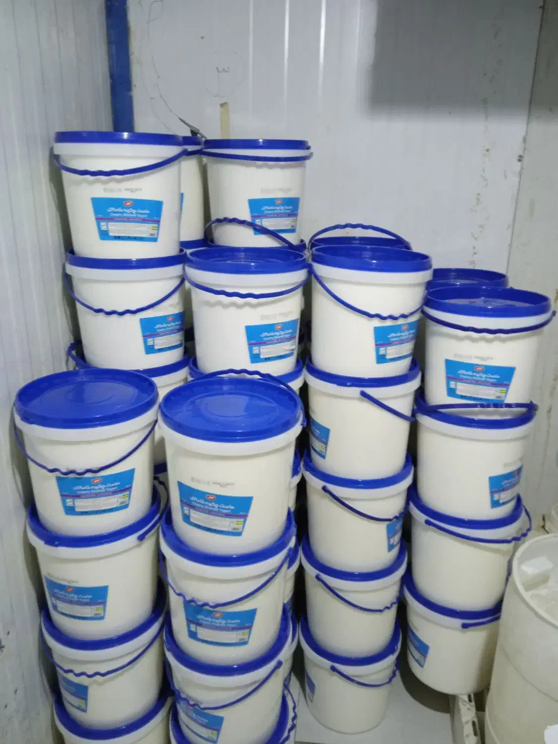 ماست خامه ای کاله|خوردنی و آشامیدنی|مشهد, سرافرازان|دیوار