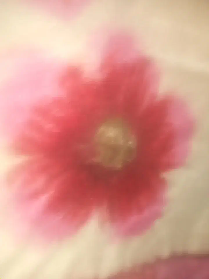 کارت بانکی پیدا شده|اشیا|زنجان, |دیوار