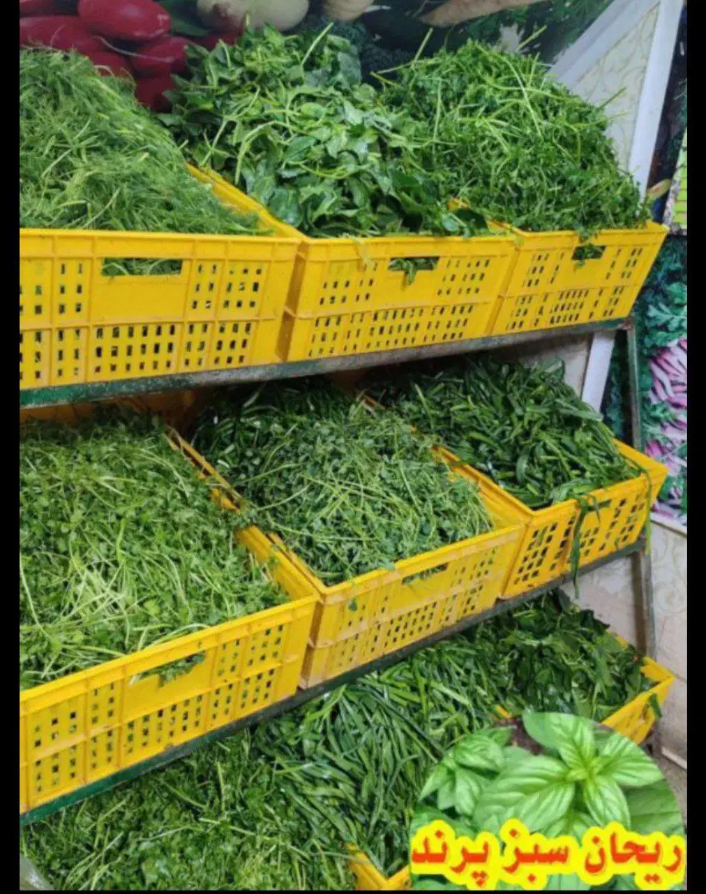 فروشگاه ریحان سبز پرند|خوردنی و آشامیدنی|پرند, فاز ۲|دیوار