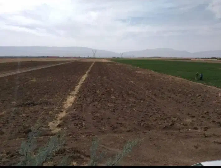 زمین ۱۰۰۰ متری مناسب باغ در شهرک ماهیدشت|فروش دفتر صنعتی، کشاورزی، تجاری|کرمانشاه, |دیوار